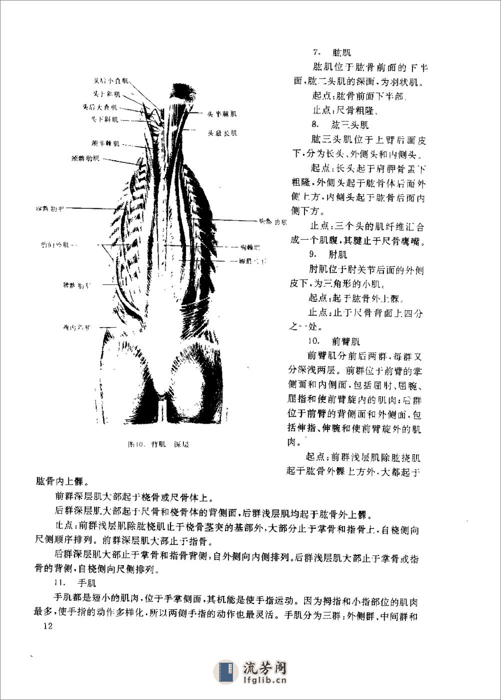 [气功医疗保健技术].孔国鉴 - 第20页预览图