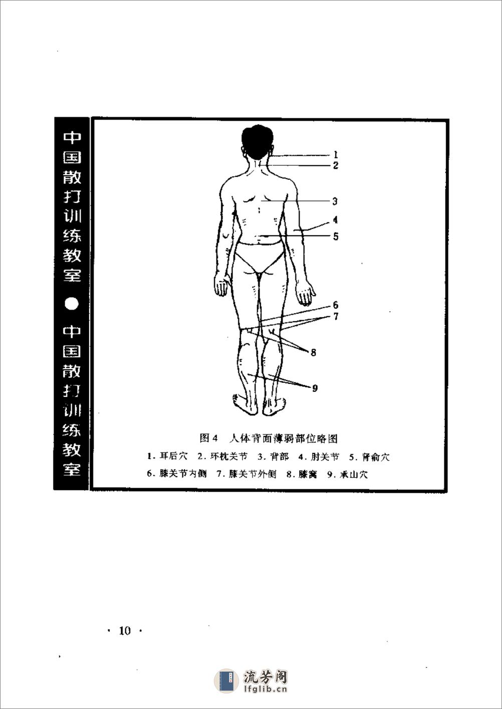 中国散打训练 - 第15页预览图