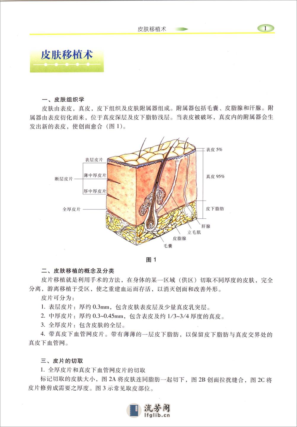 实用整形手术外科图 - 第10页预览图