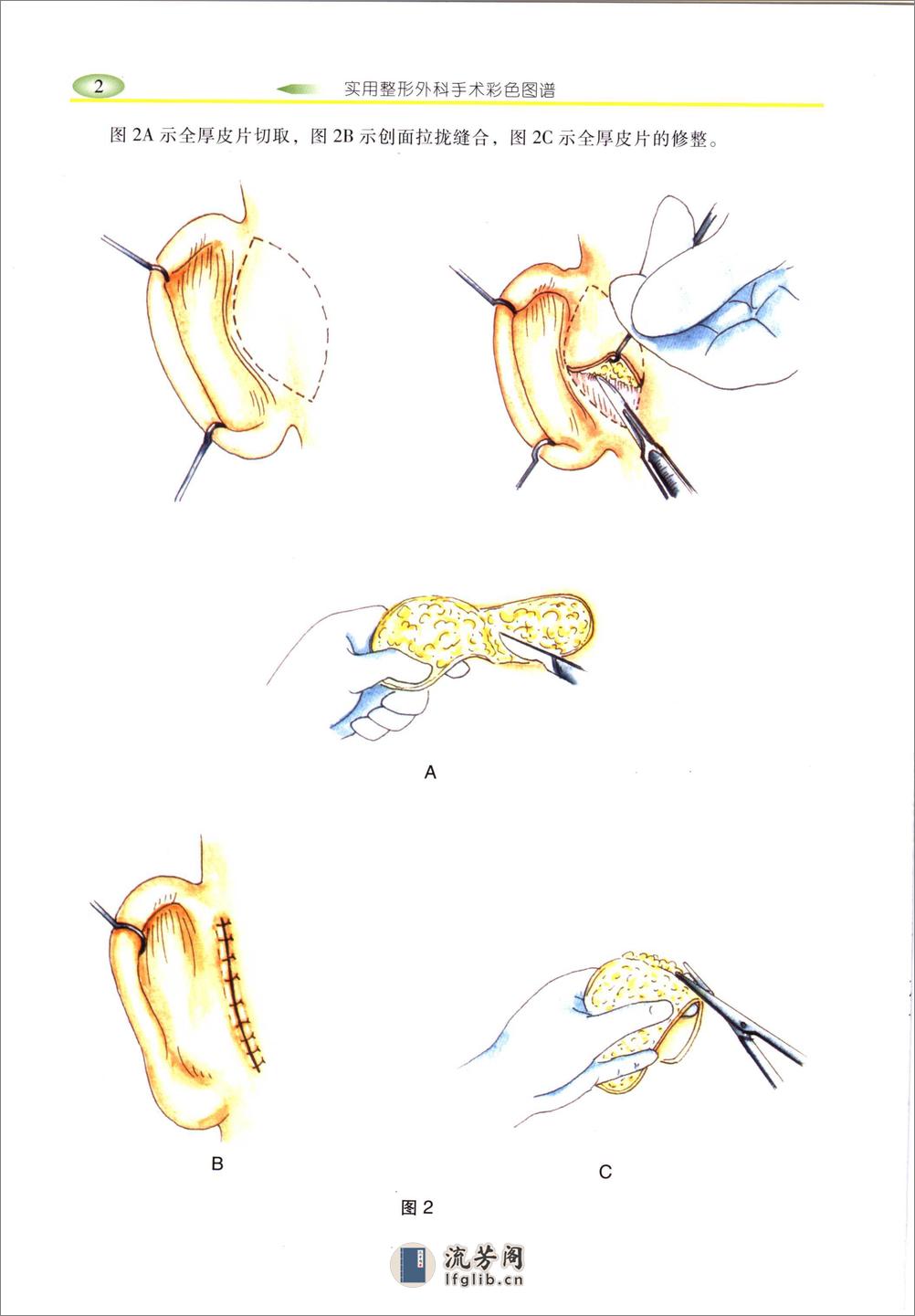 实用整形手术外科图 - 第11页预览图