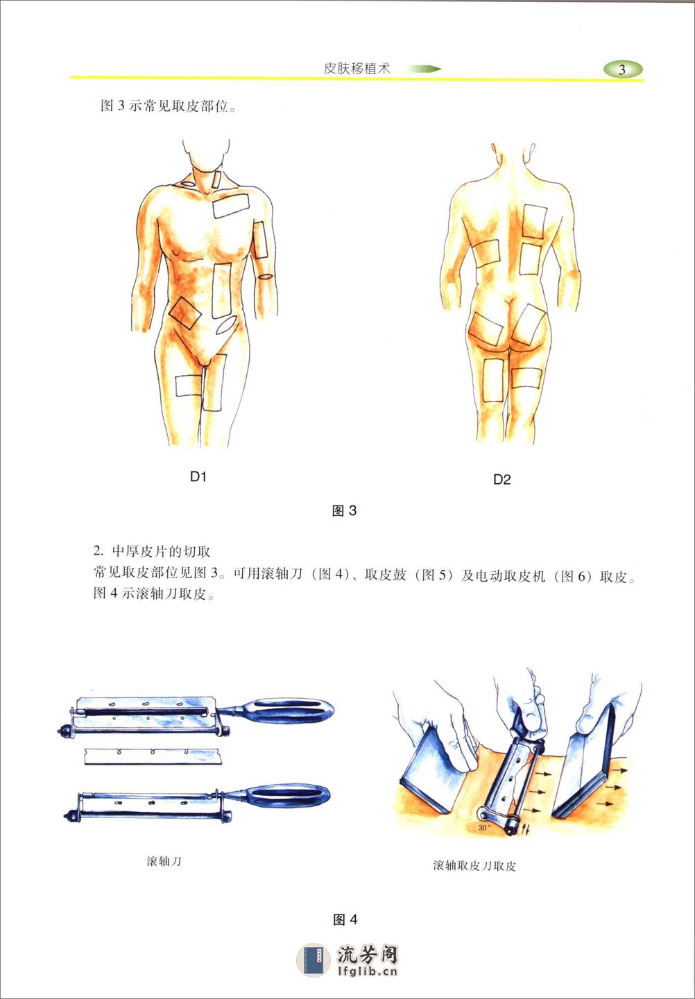 实用整形手术外科图 - 第12页预览图