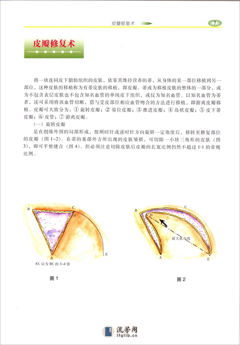 实用整形手术外科图 - 第16页预览图