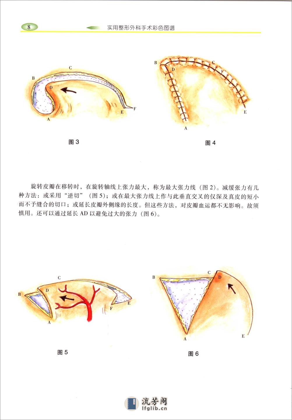 实用整形手术外科图 - 第17页预览图