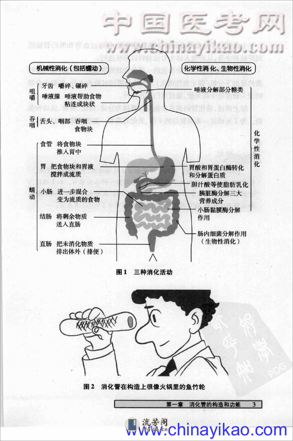 消化器官与疾病（高清中文版） - 第17页预览图