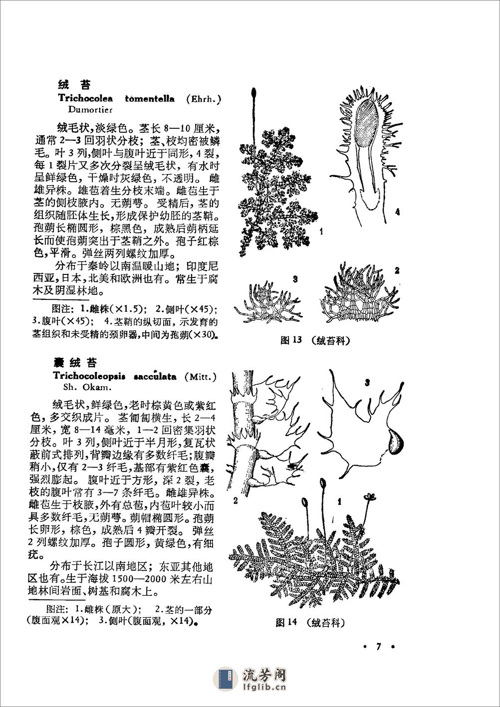 中国高等植物图鉴.第一册 - 第12页预览图