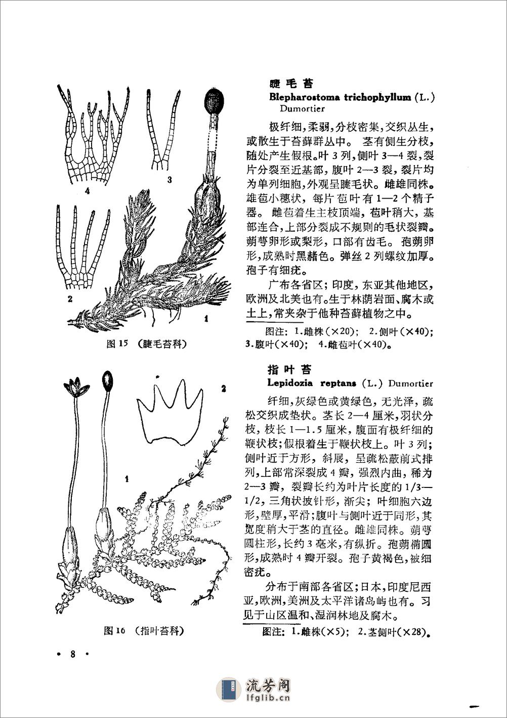 中国高等植物图鉴.第一册 - 第13页预览图