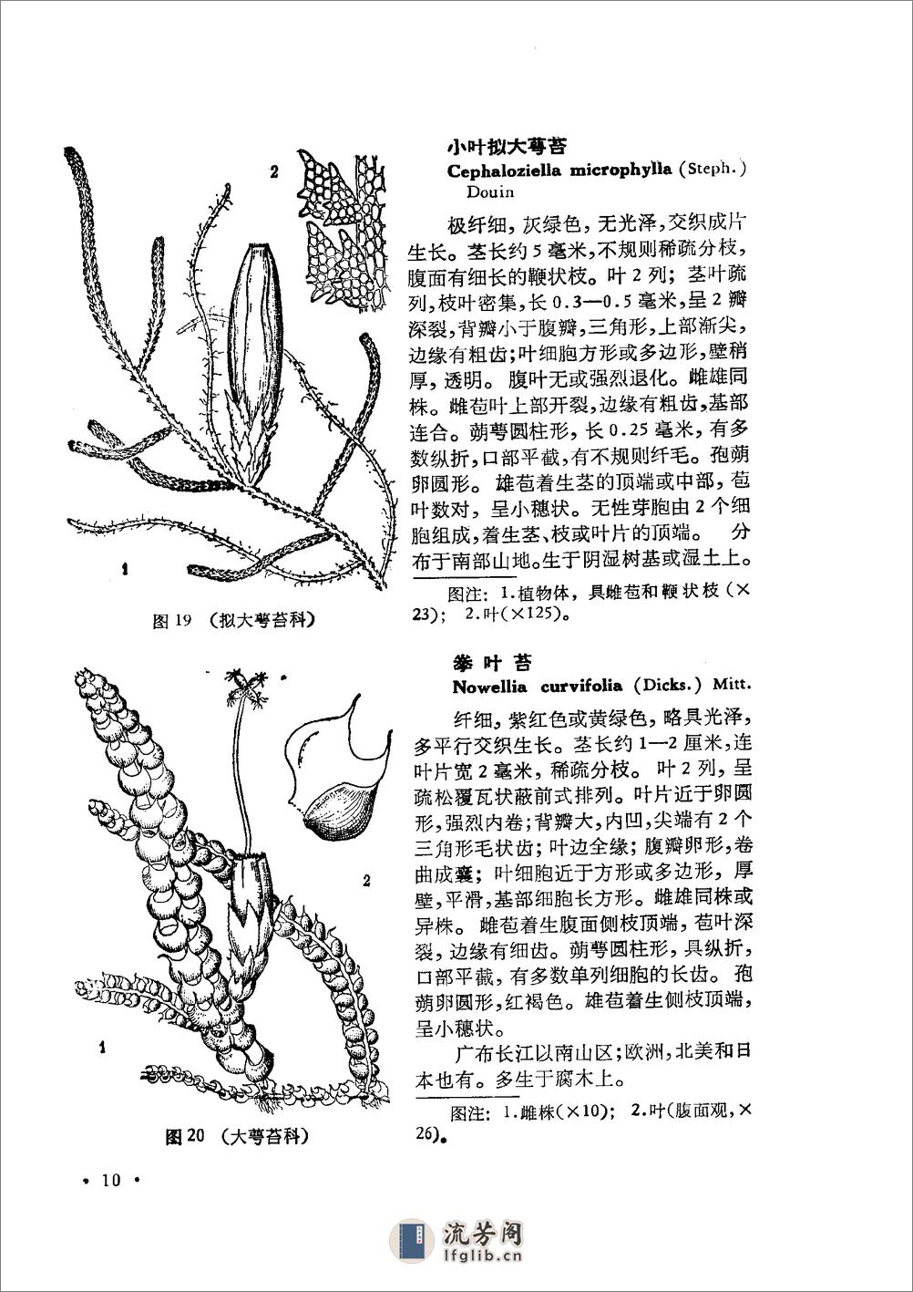 中国高等植物图鉴.第一册 - 第15页预览图