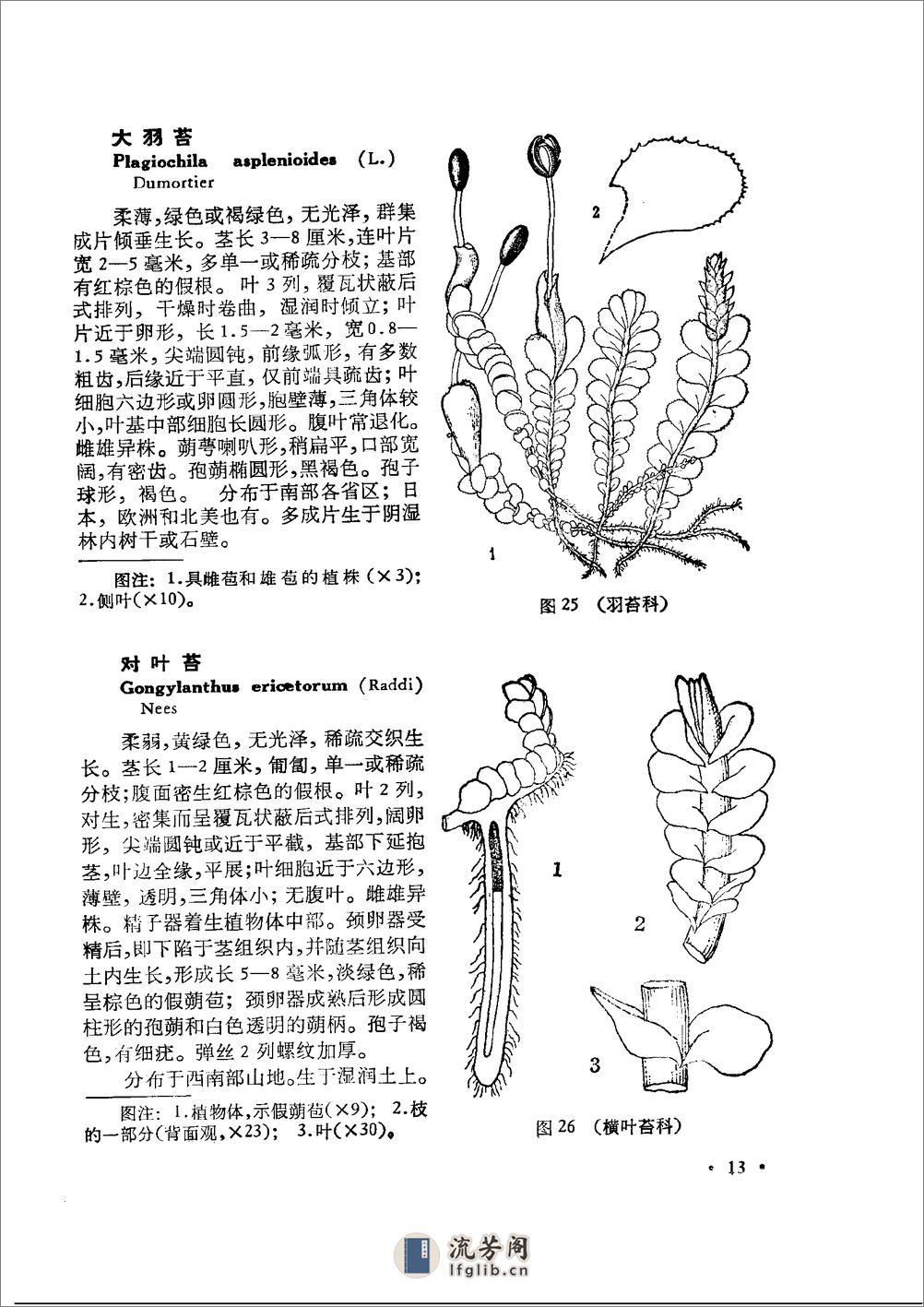 中国高等植物图鉴.第一册 - 第18页预览图