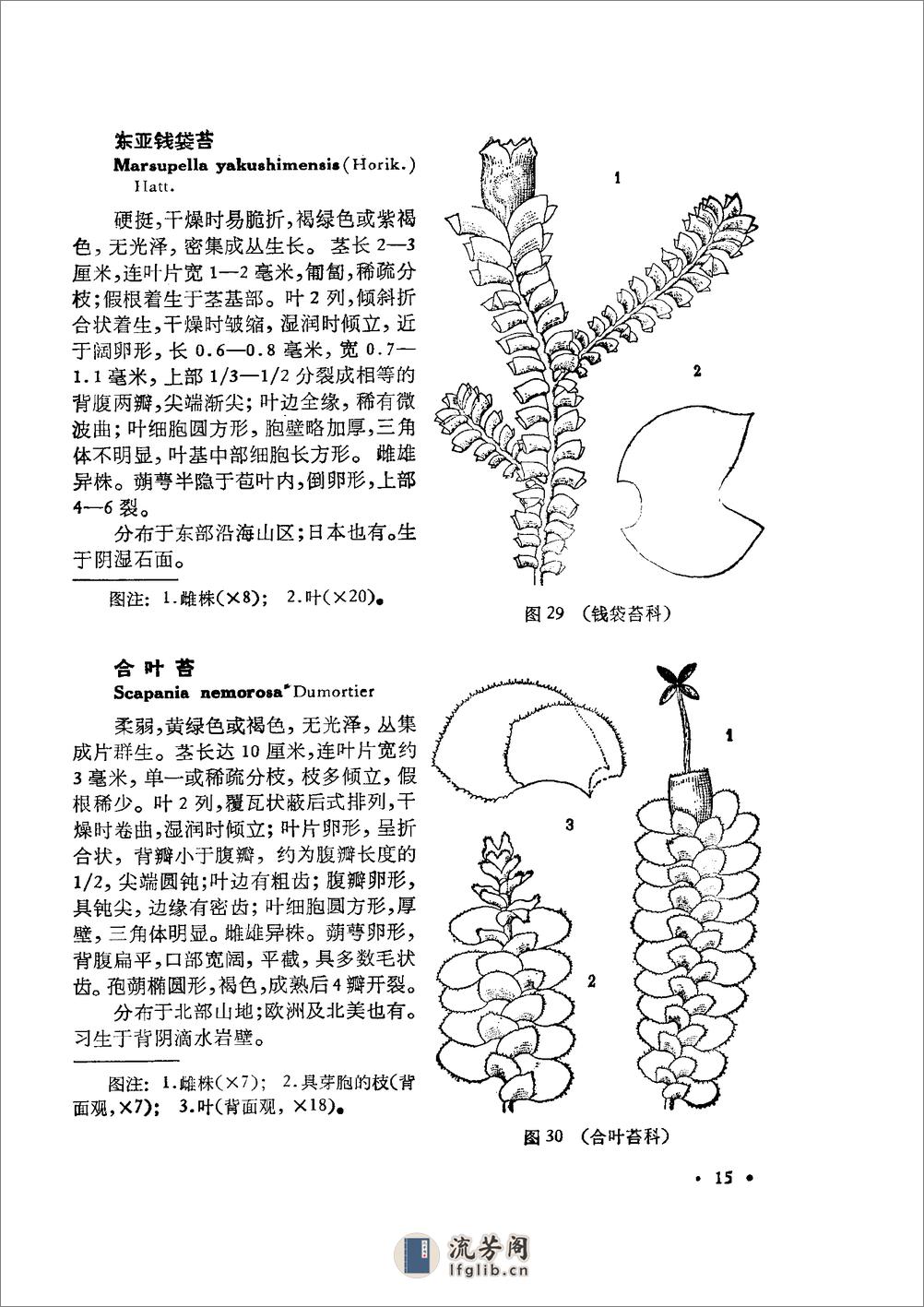 中国高等植物图鉴.第一册 - 第20页预览图