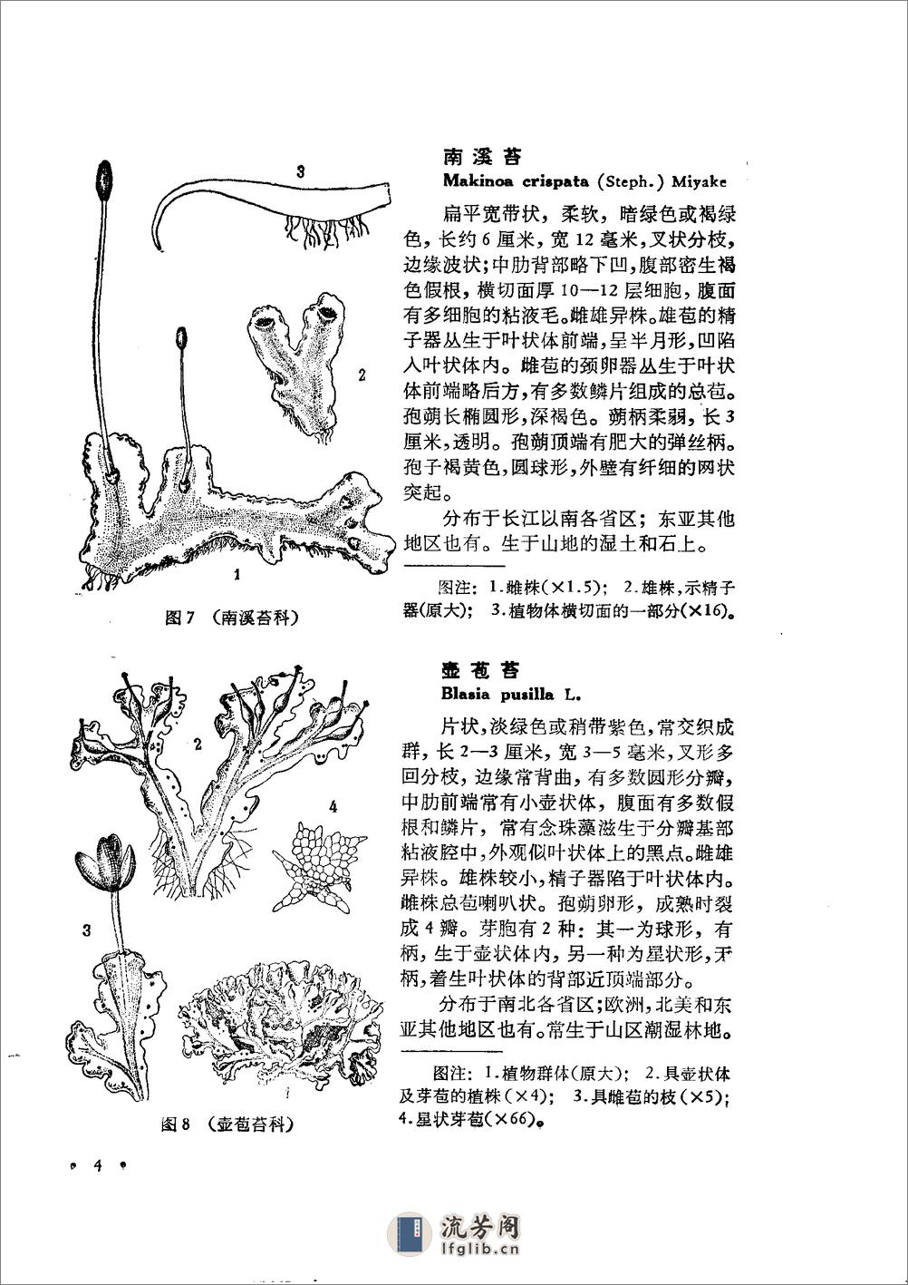 中国高等植物图鉴.第一册 - 第9页预览图