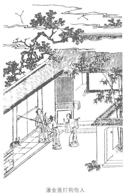 插图-1