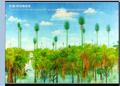 插图-4