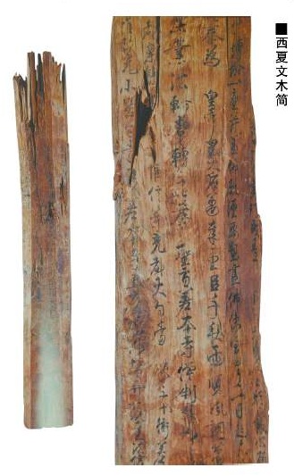 插图-1