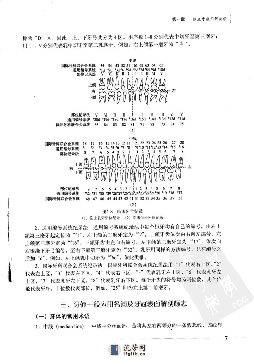 阻生牙拔除术 - 第14页预览图