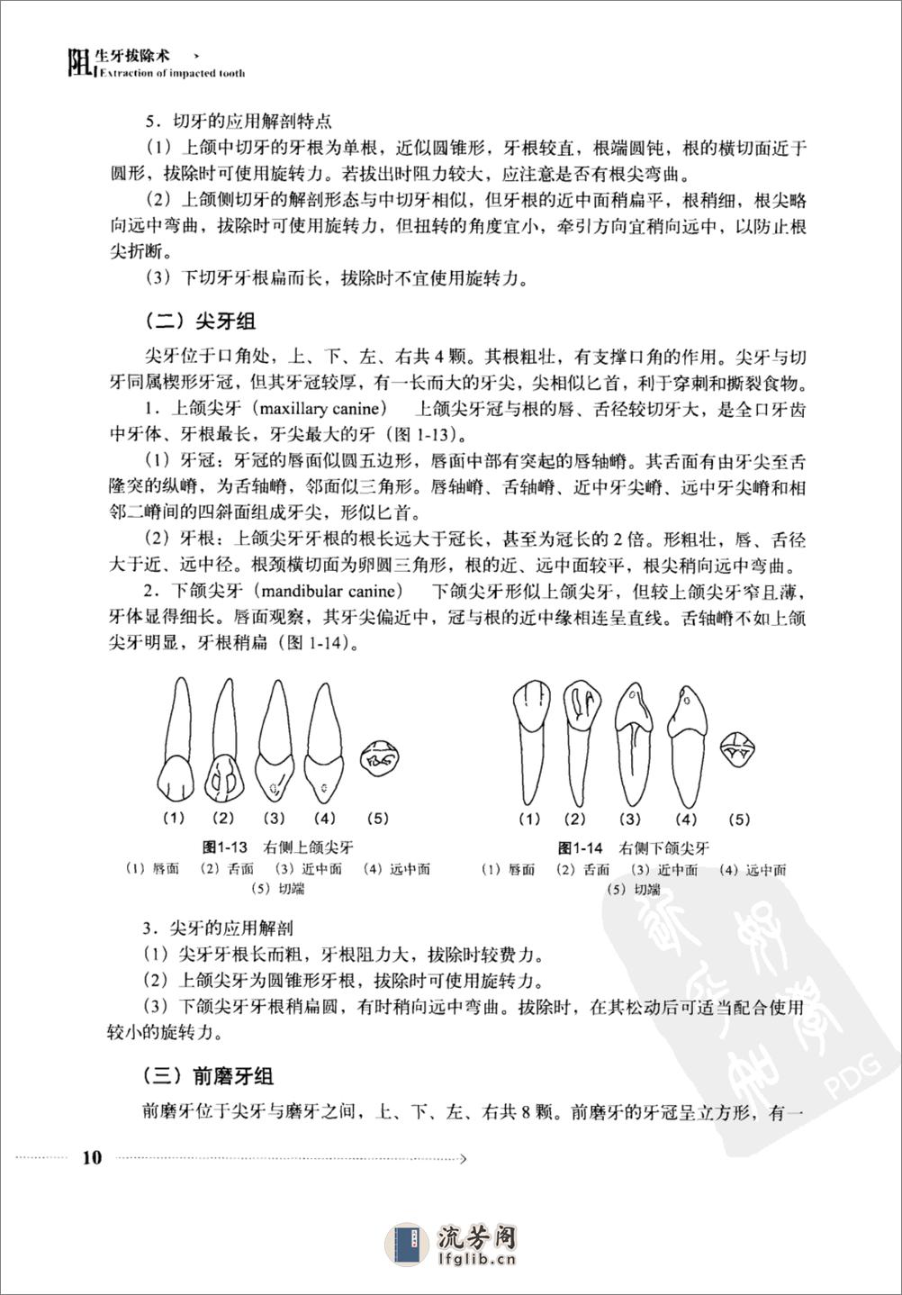 阻生牙拔除术 - 第17页预览图