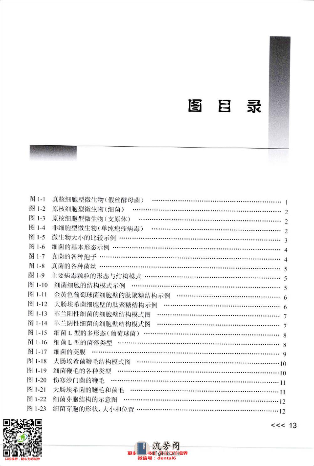 实用口腔微生物学图谱_12432797_北京市：人民卫生出版社_2009.11_肖丽英著_Pg179 - 第13页预览图