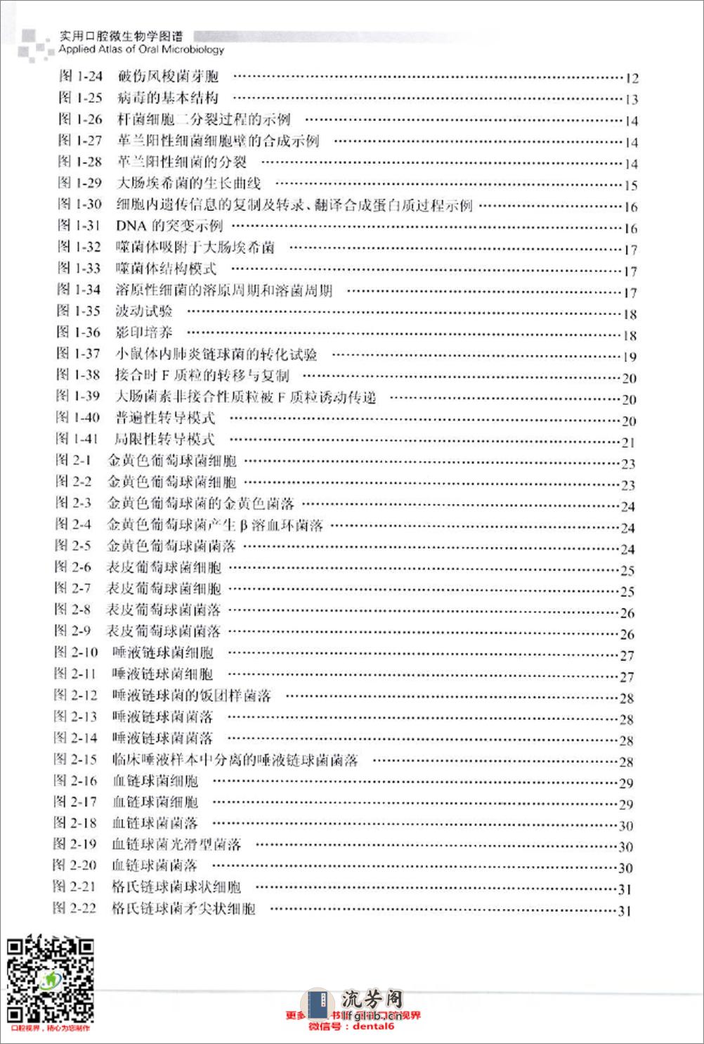 实用口腔微生物学图谱_12432797_北京市：人民卫生出版社_2009.11_肖丽英著_Pg179 - 第14页预览图