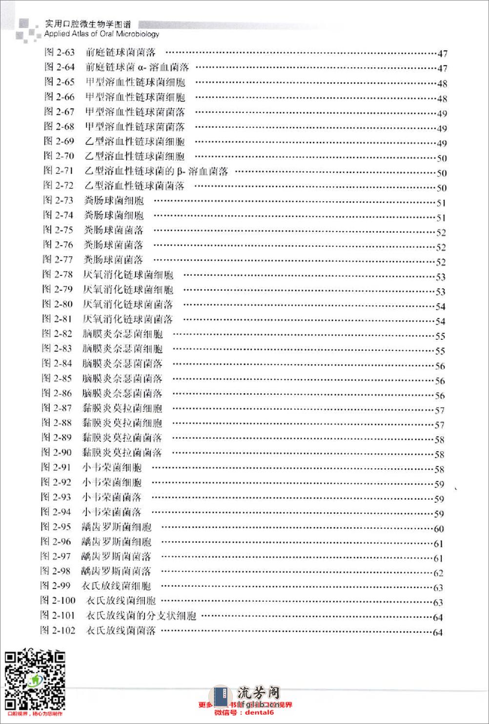 实用口腔微生物学图谱_12432797_北京市：人民卫生出版社_2009.11_肖丽英著_Pg179 - 第16页预览图