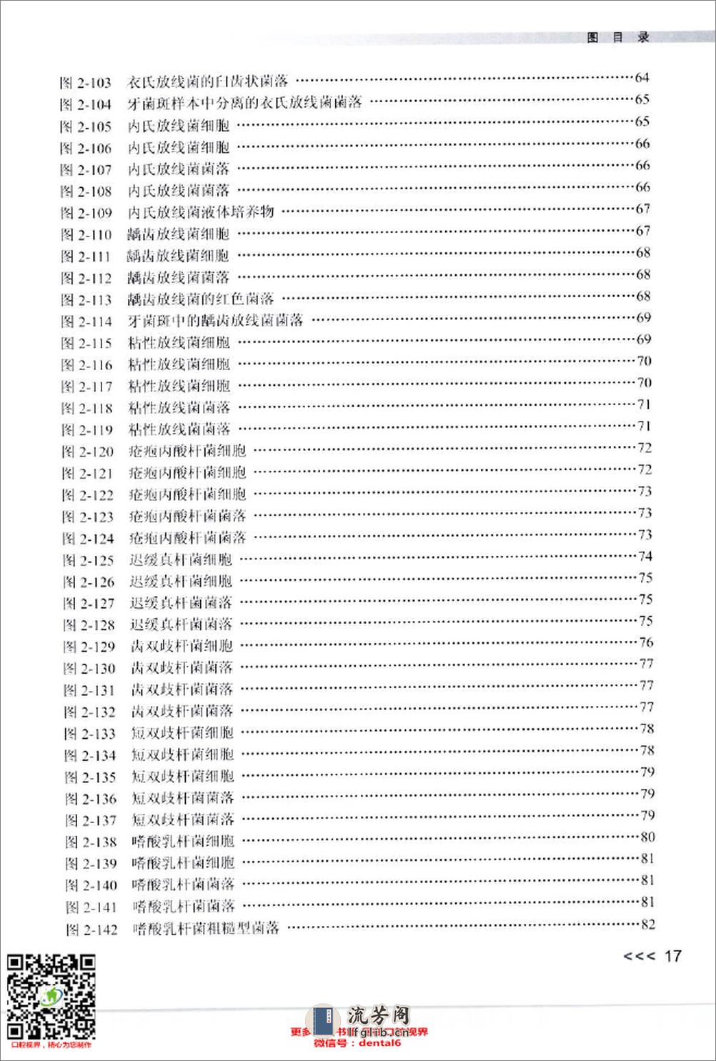 实用口腔微生物学图谱_12432797_北京市：人民卫生出版社_2009.11_肖丽英著_Pg179 - 第17页预览图