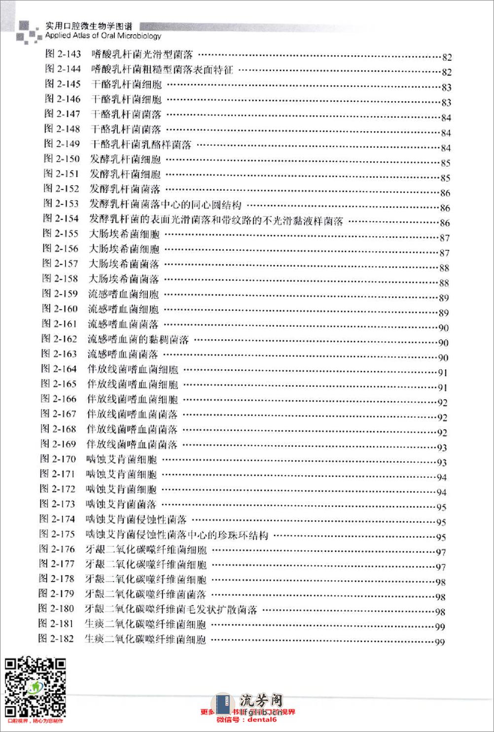 实用口腔微生物学图谱_12432797_北京市：人民卫生出版社_2009.11_肖丽英著_Pg179 - 第18页预览图