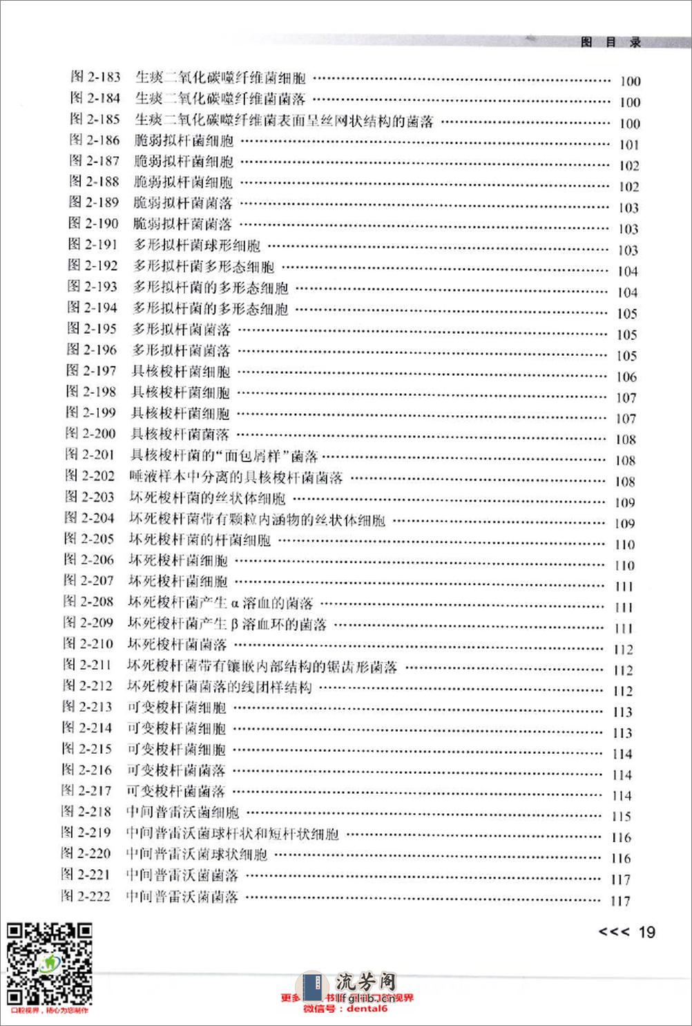 实用口腔微生物学图谱_12432797_北京市：人民卫生出版社_2009.11_肖丽英著_Pg179 - 第19页预览图