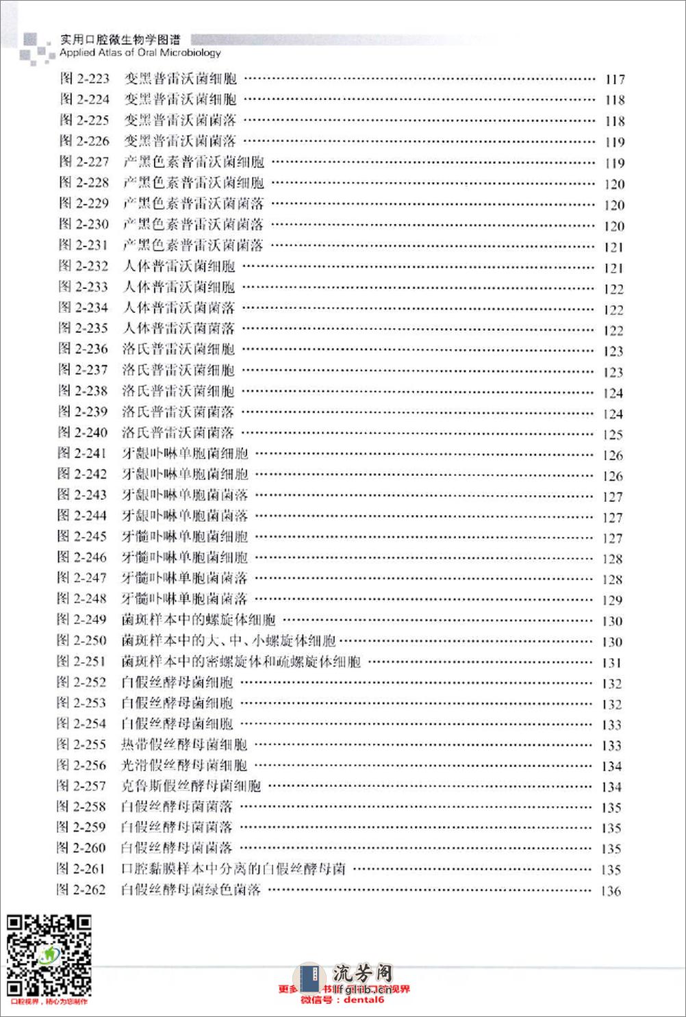 实用口腔微生物学图谱_12432797_北京市：人民卫生出版社_2009.11_肖丽英著_Pg179 - 第20页预览图