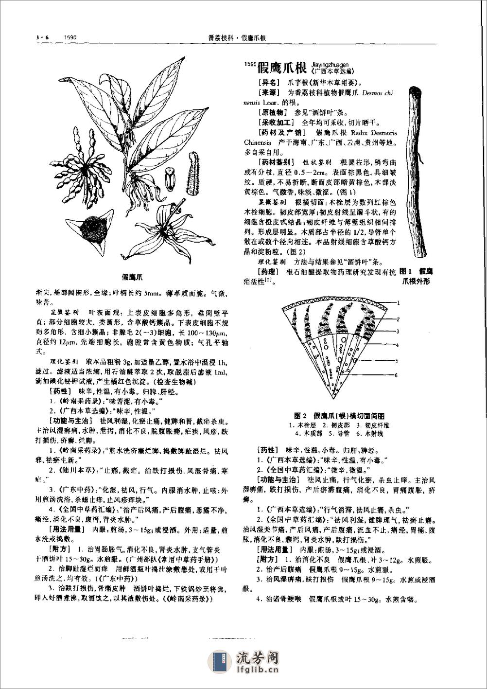 中华本草 3 - 第17页预览图