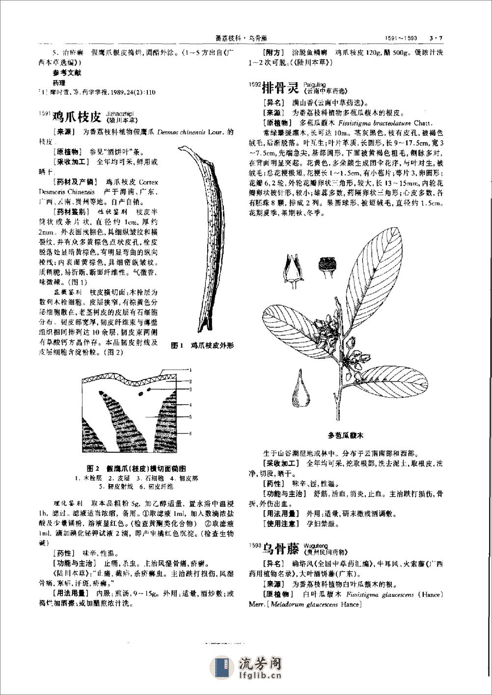 中华本草 3 - 第18页预览图