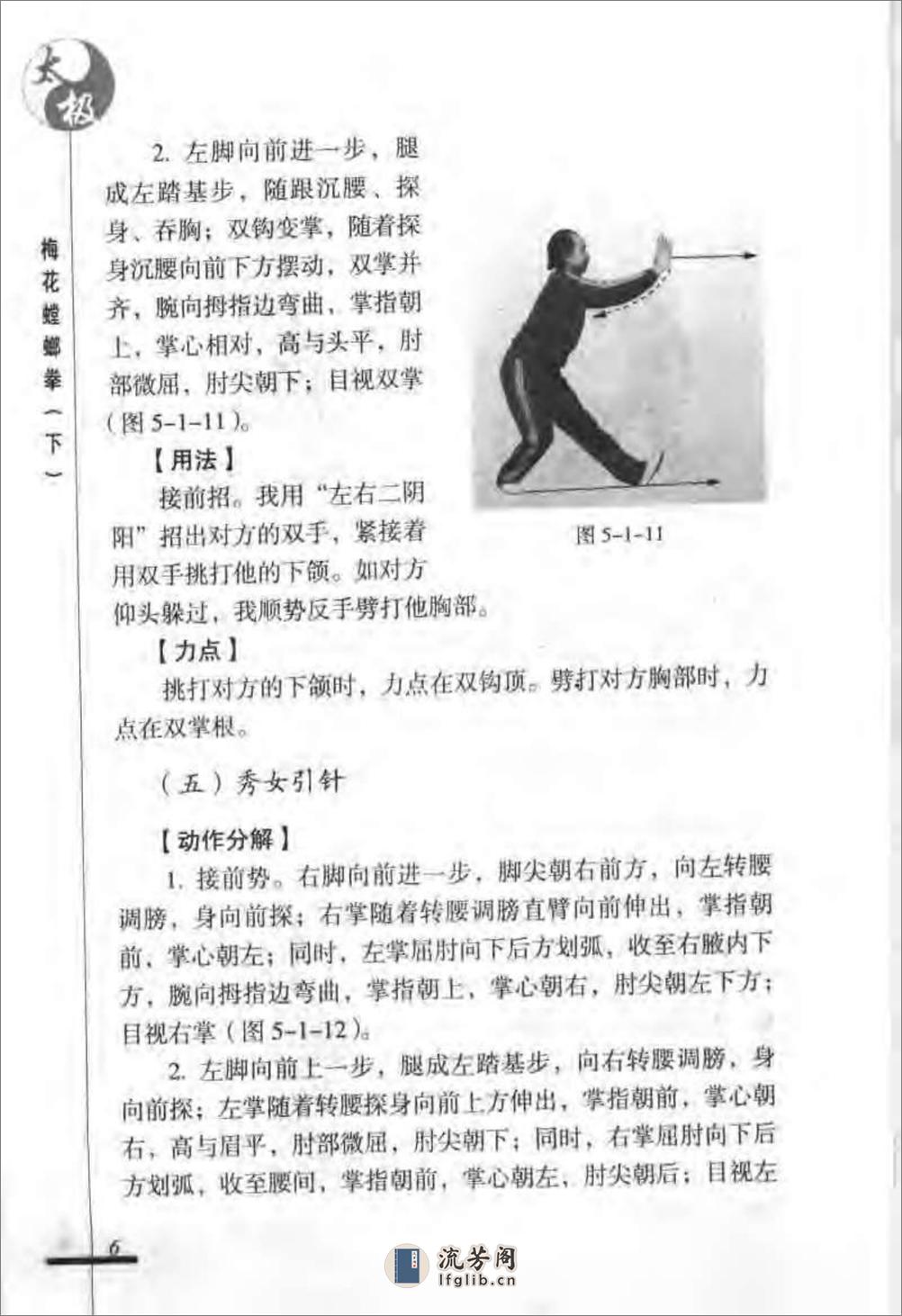《太极梅花螳螂拳（下）》张炳斗 - 第10页预览图