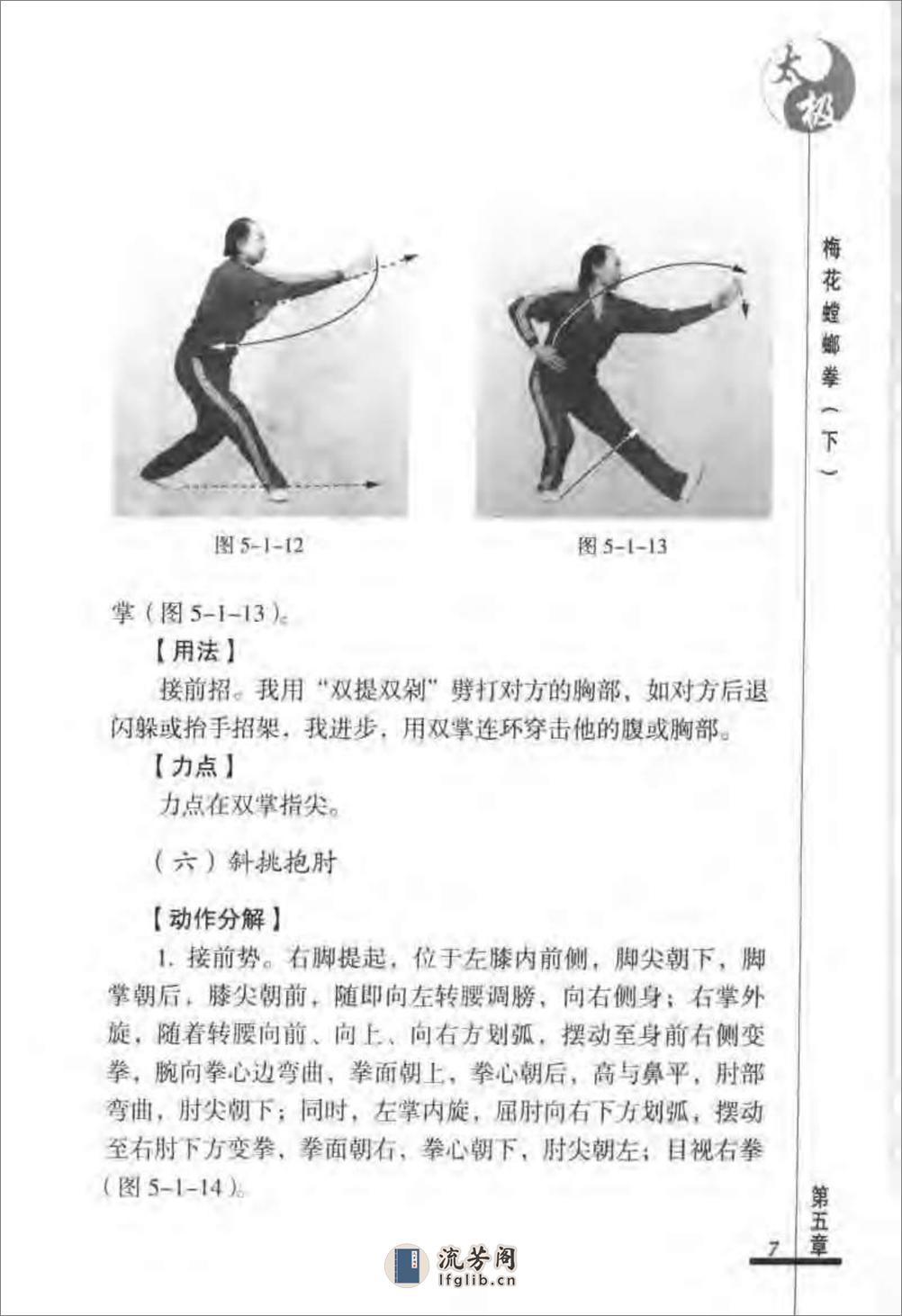 《太极梅花螳螂拳（下）》张炳斗 - 第11页预览图