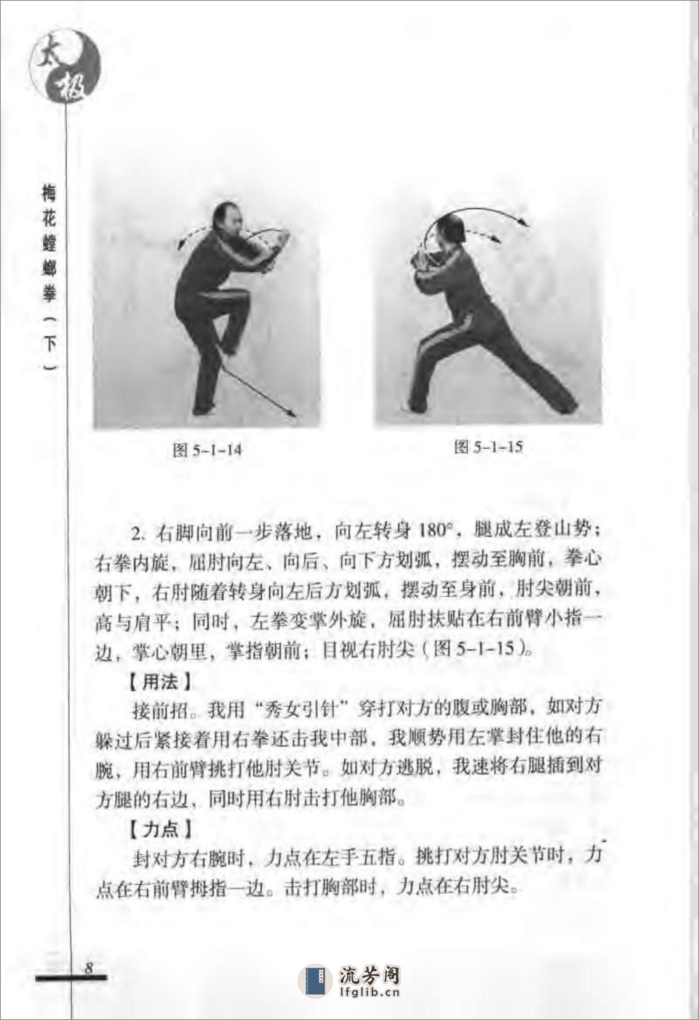 《太极梅花螳螂拳（下）》张炳斗 - 第12页预览图