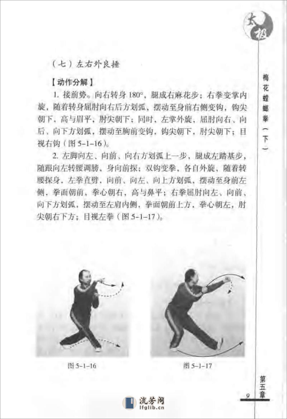 《太极梅花螳螂拳（下）》张炳斗 - 第13页预览图