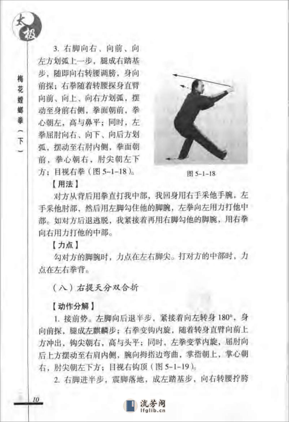 《太极梅花螳螂拳（下）》张炳斗 - 第14页预览图
