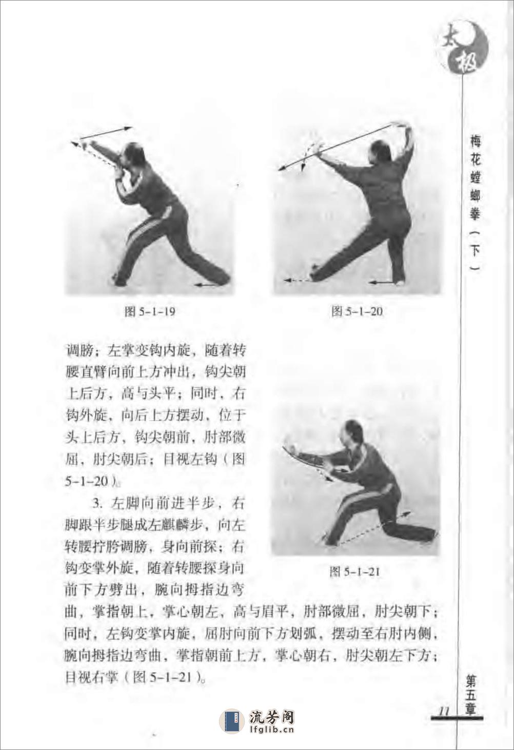 《太极梅花螳螂拳（下）》张炳斗 - 第15页预览图