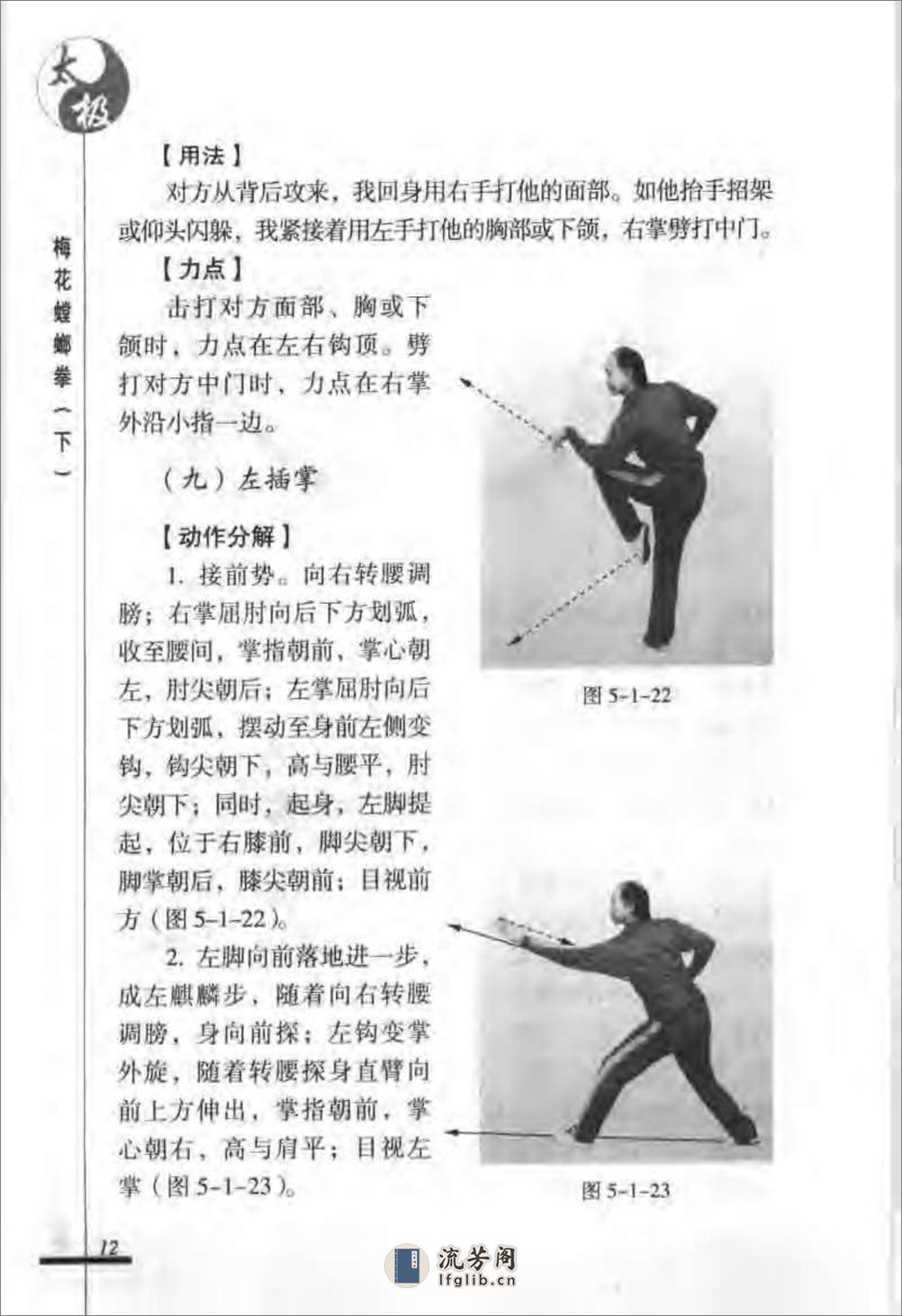 《太极梅花螳螂拳（下）》张炳斗 - 第16页预览图