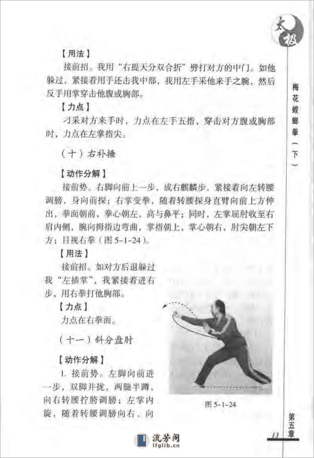 《太极梅花螳螂拳（下）》张炳斗 - 第17页预览图