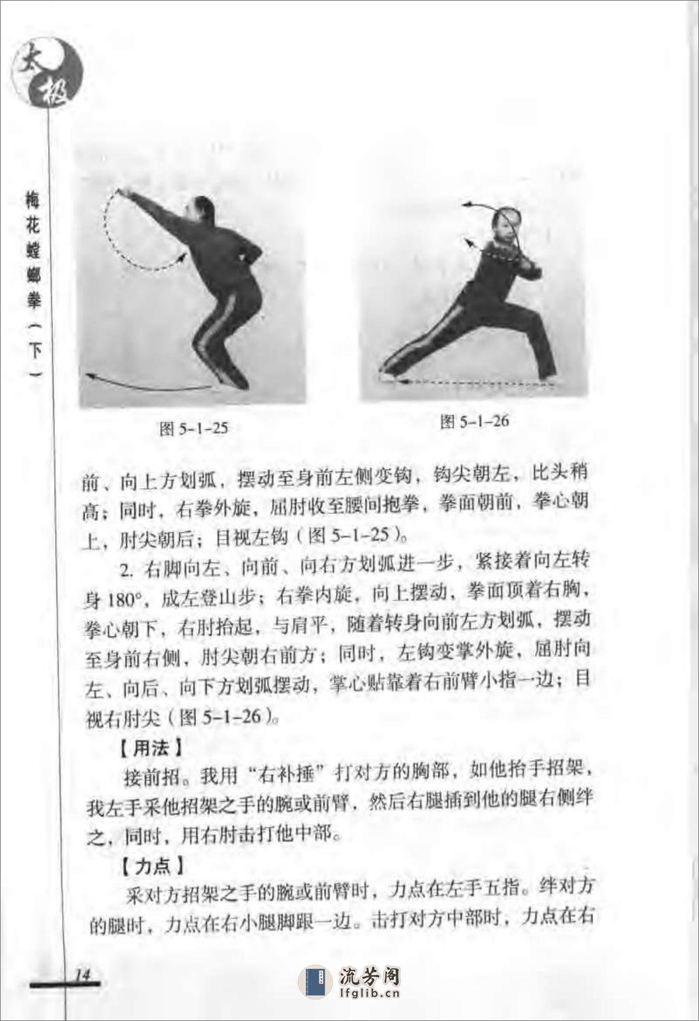 《太极梅花螳螂拳（下）》张炳斗 - 第18页预览图