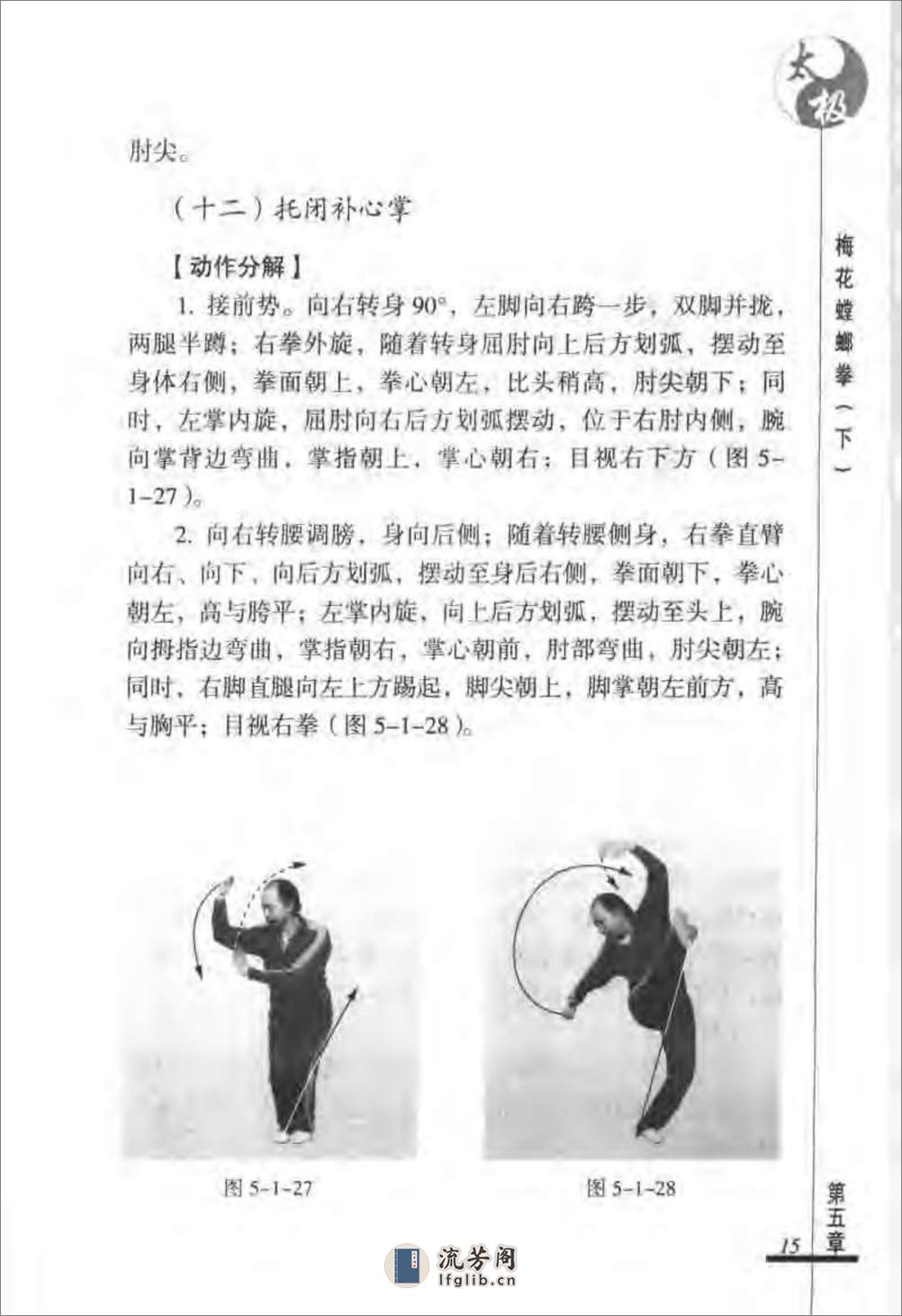 《太极梅花螳螂拳（下）》张炳斗 - 第19页预览图