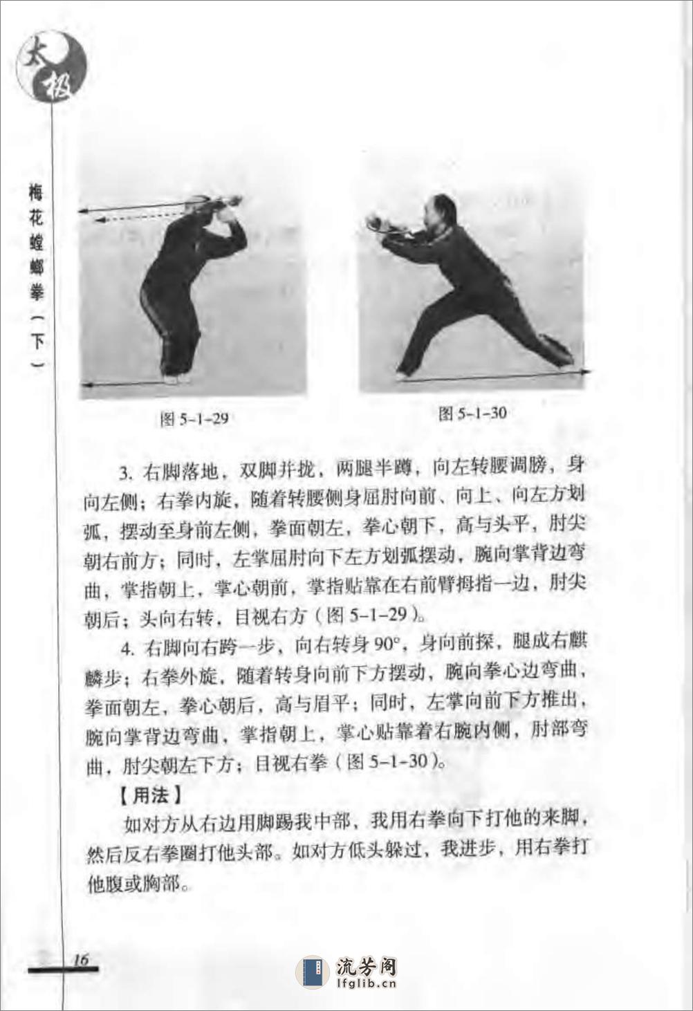 《太极梅花螳螂拳（下）》张炳斗 - 第20页预览图