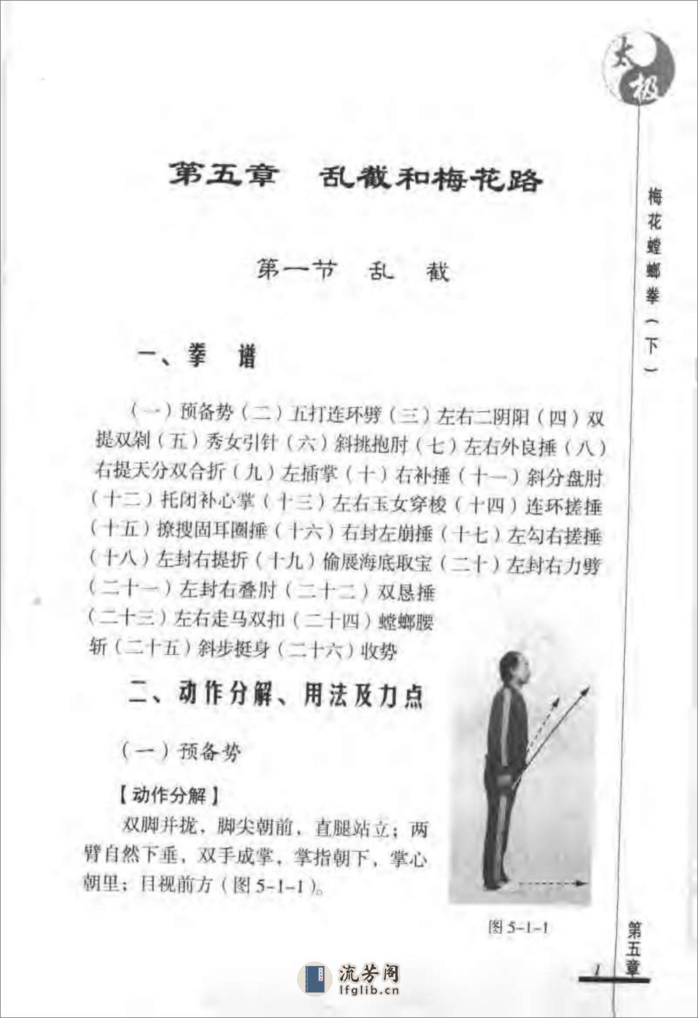 《太极梅花螳螂拳（下）》张炳斗 - 第5页预览图