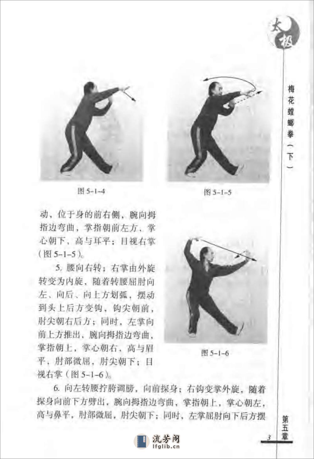 《太极梅花螳螂拳（下）》张炳斗 - 第7页预览图