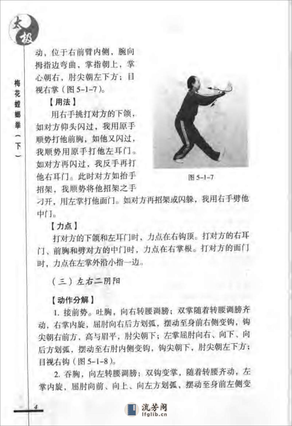 《太极梅花螳螂拳（下）》张炳斗 - 第8页预览图