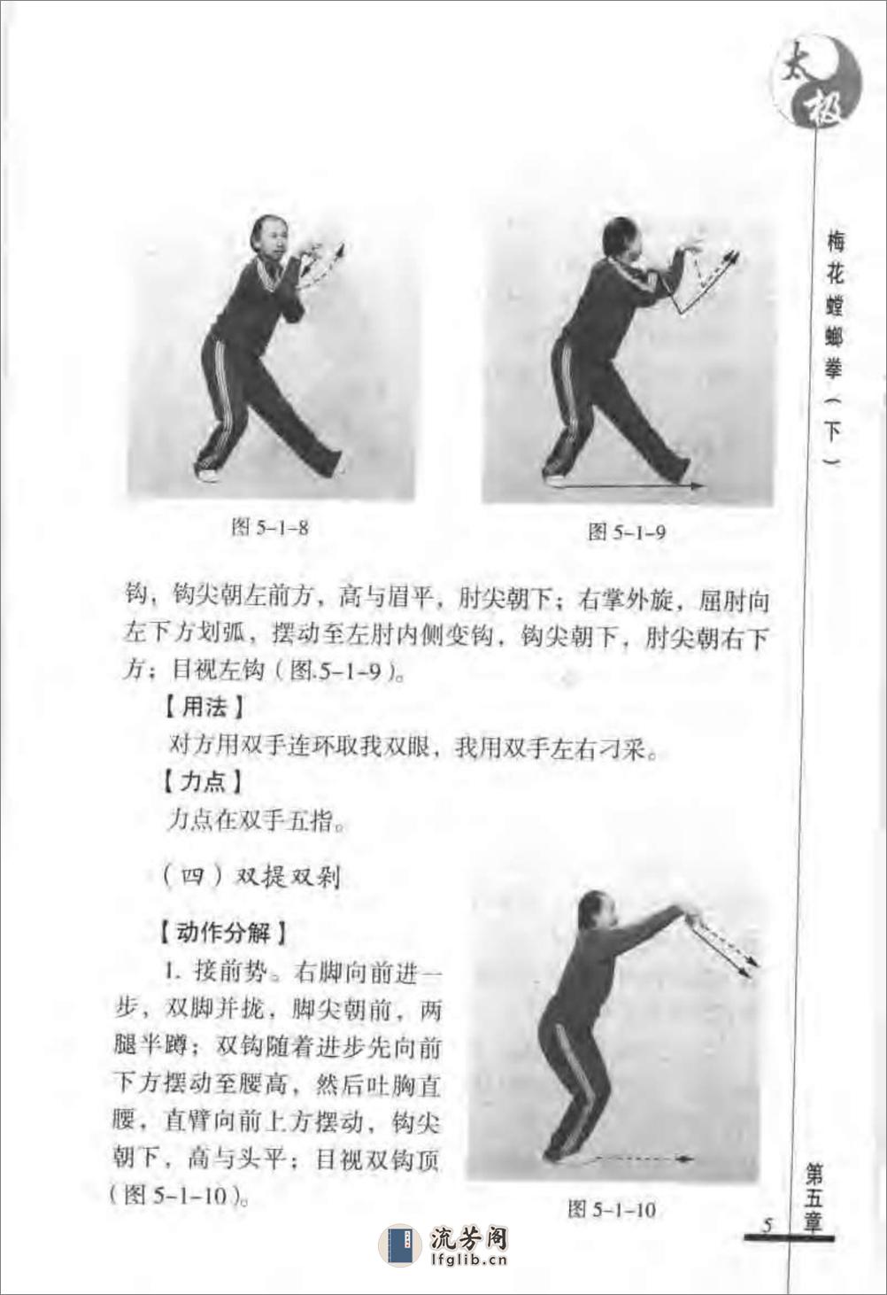 《太极梅花螳螂拳（下）》张炳斗 - 第9页预览图