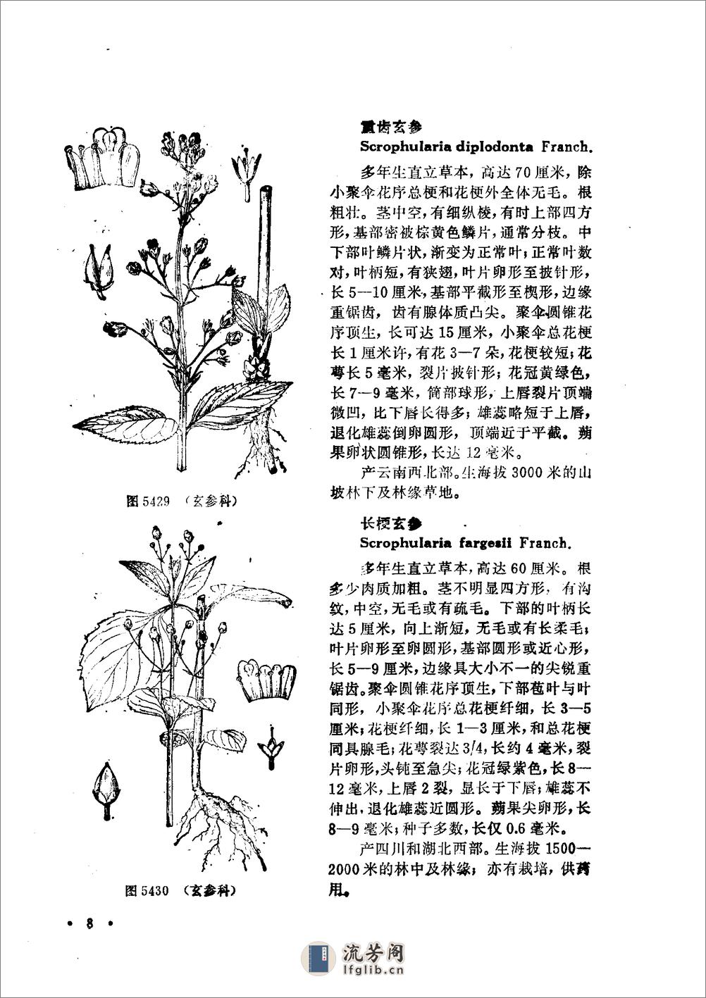 中国高等植物图鉴.第四册 - 第10页预览图