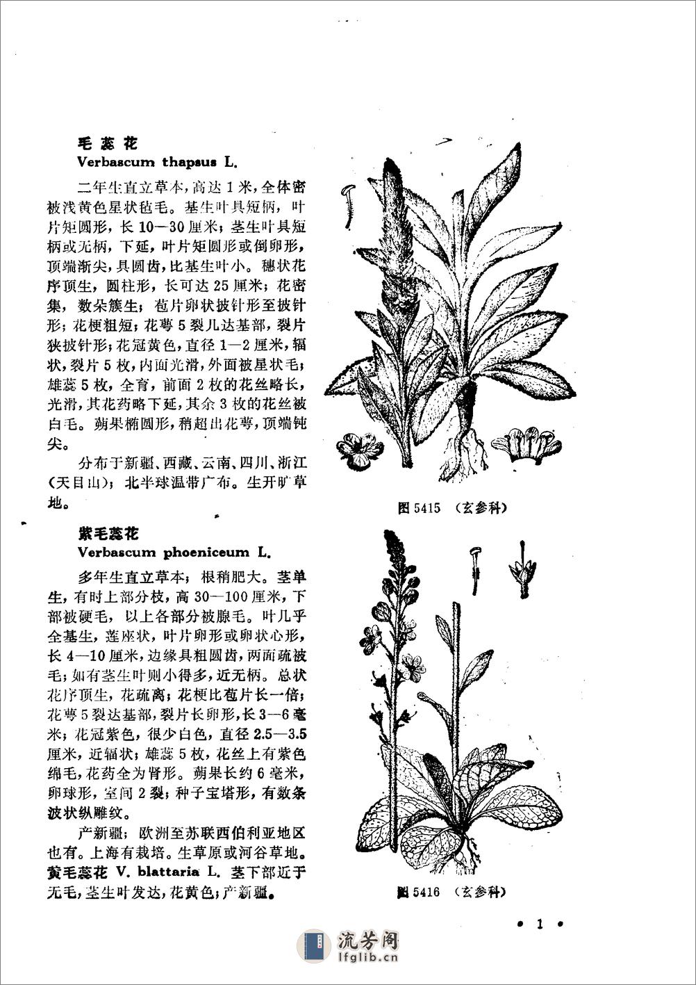 中国高等植物图鉴.第四册 - 第3页预览图