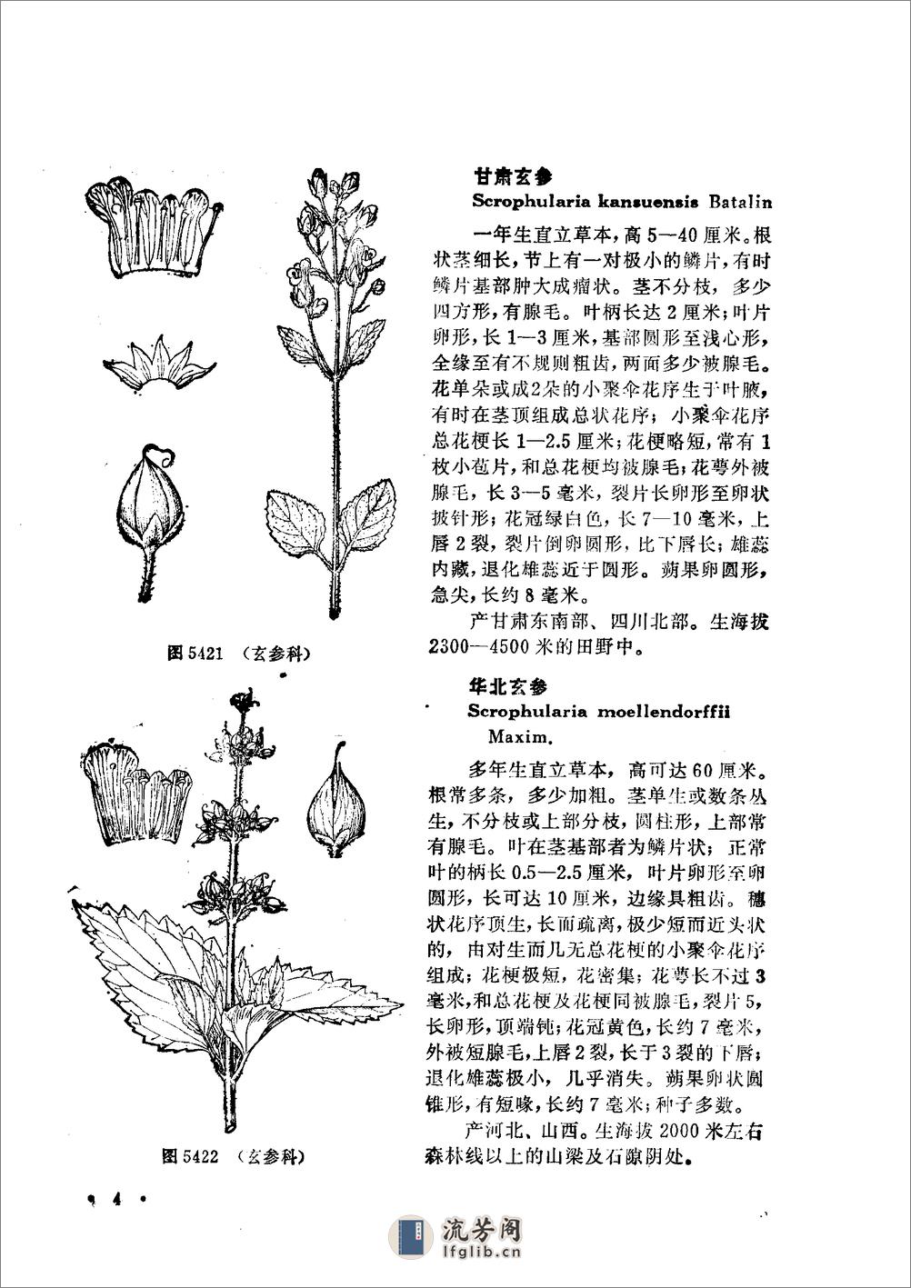 中国高等植物图鉴.第四册 - 第6页预览图