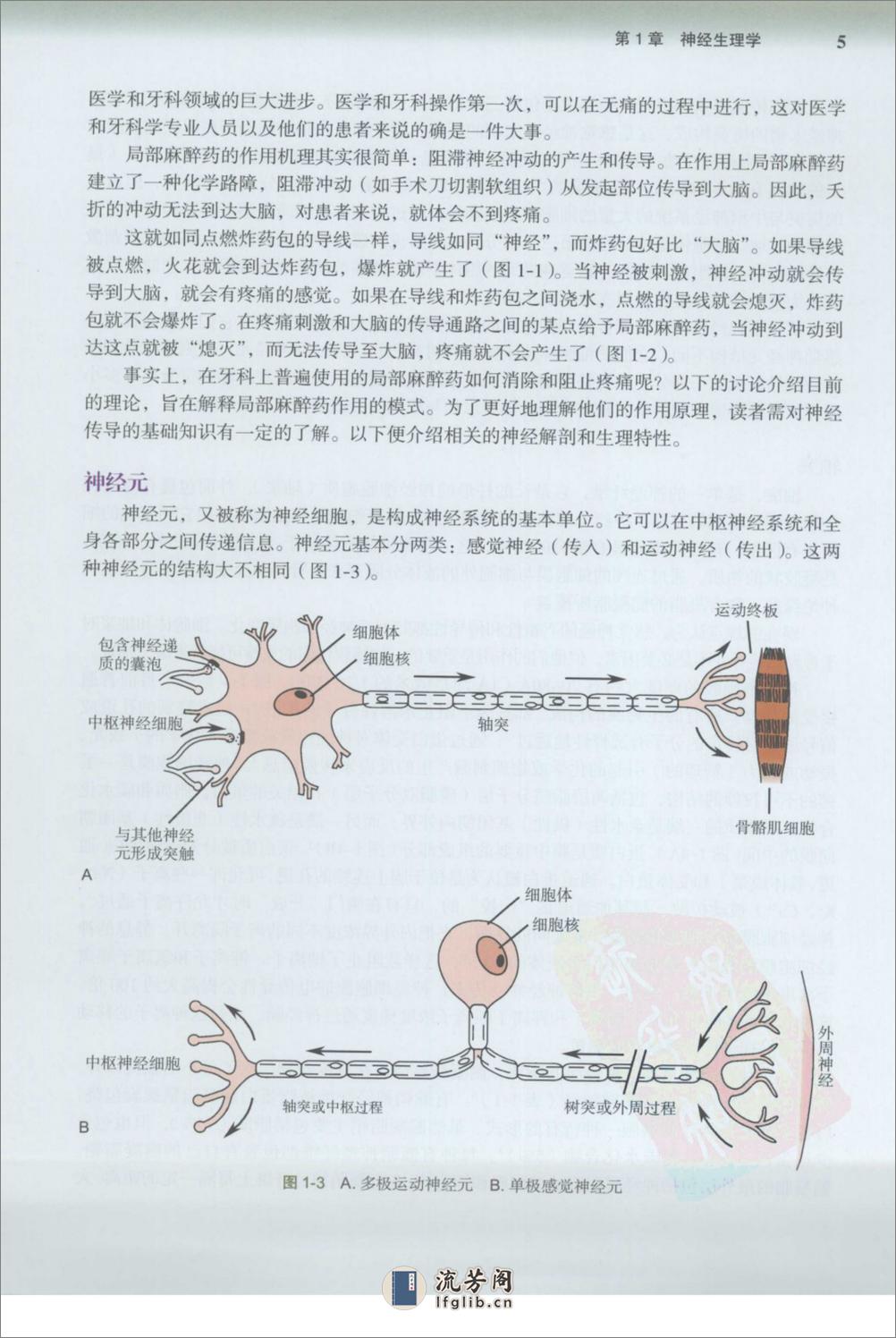 口腔局部麻醉手册 - 第18页预览图