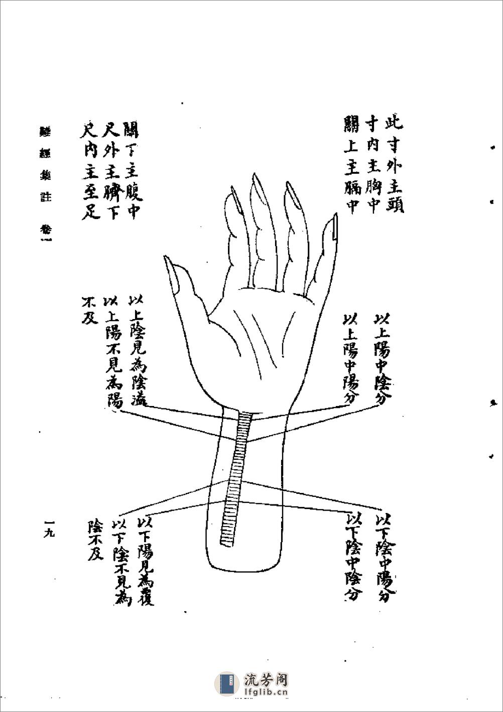 难经集注 - 第19页预览图