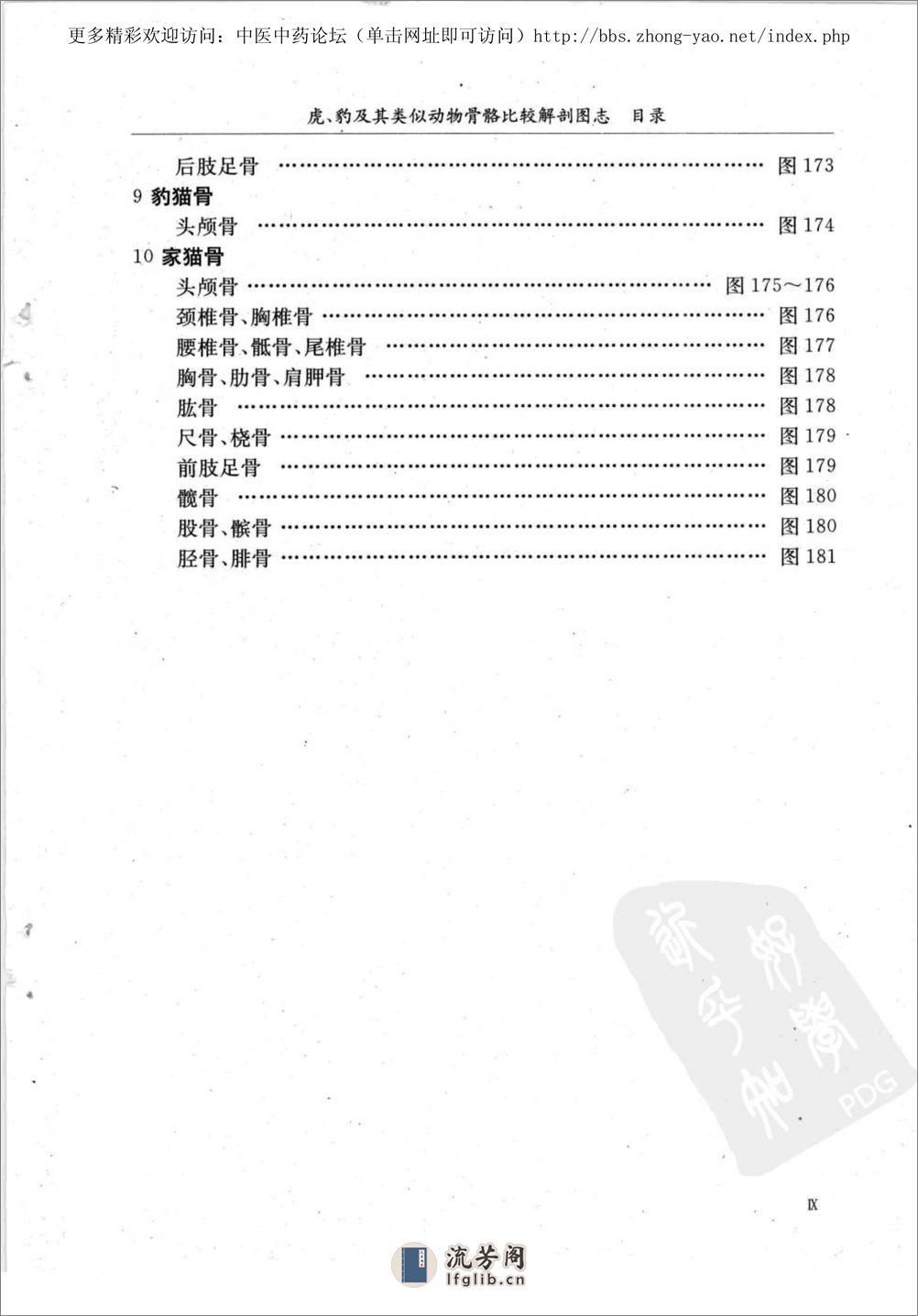 虎、豹及其类似动物骨骼比较解剖图志（陈代贤 主编） - 第14页预览图