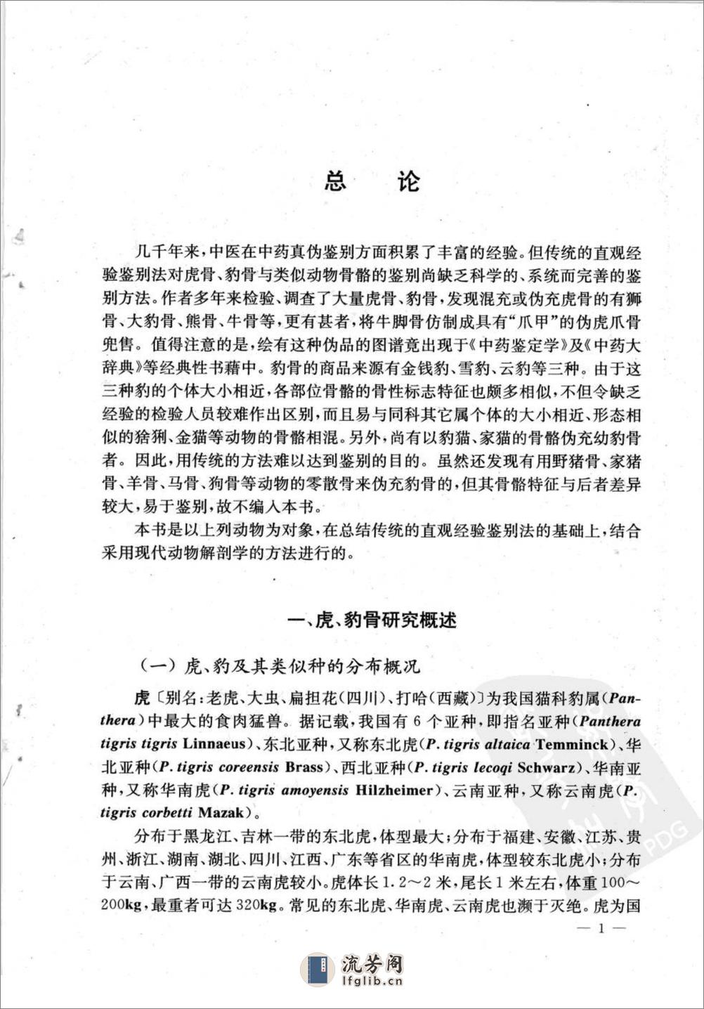 虎、豹及其类似动物骨骼比较解剖图志（陈代贤 主编） - 第15页预览图